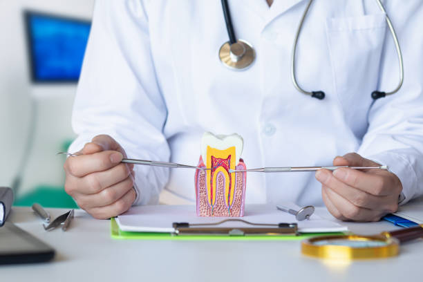 Best Emergency Dental Care for Broken or Chipped Teeth in Zion, IL